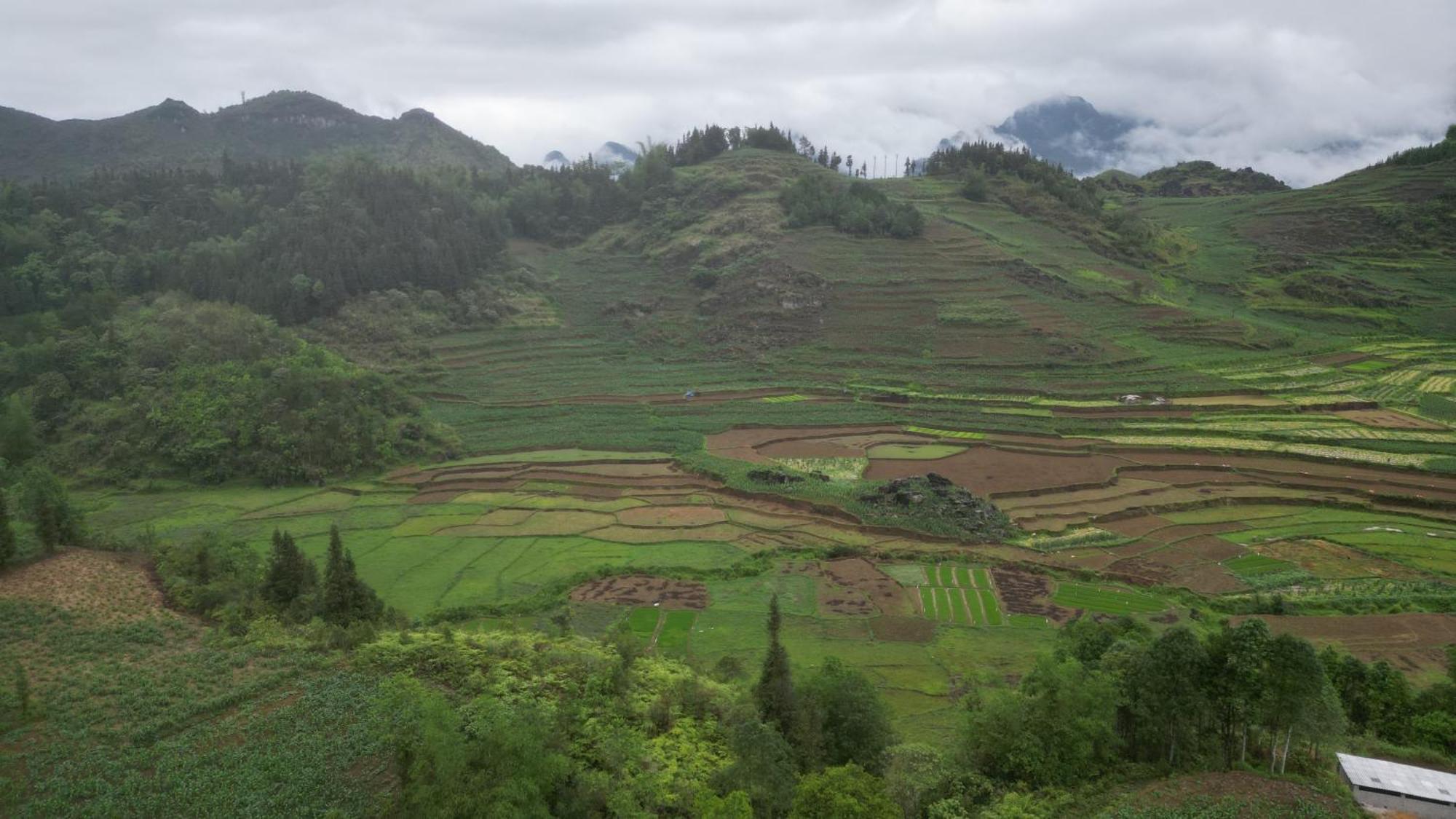 Mun Homestay Ha Giang Kültér fotó